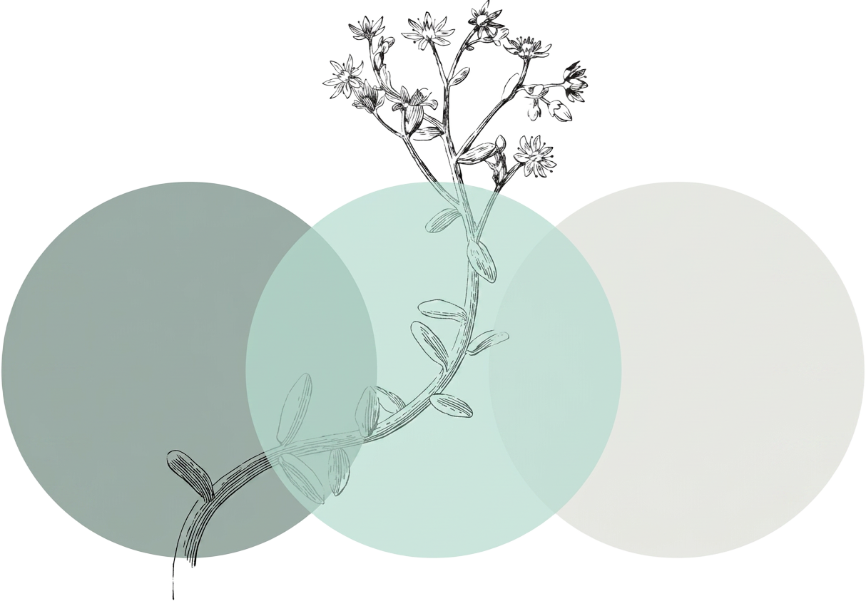 Ilustração decorativa de ramos e círculos em tons de verde